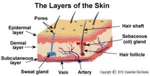 SkinLayers
